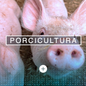https://developer.danuxdecolombia.com/wp-content/uploads/2018/03/porcicultura-300x300.jpg