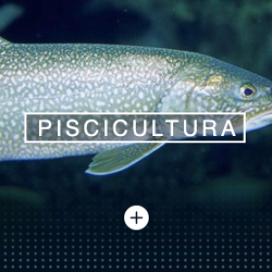https://developer.danuxdecolombia.com/wp-content/uploads/2018/04/piscicultura-300x300.jpg